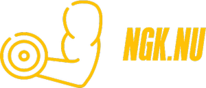 Ngk.nu