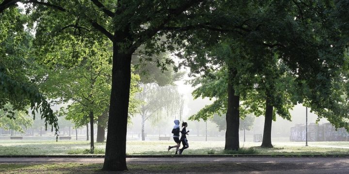 Köp träningskläder på nätet